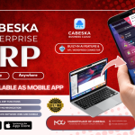 Cabeska Enterprise ERP - Now In Your Pocket